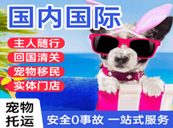 南洋空运地址国际宠物托运 【国